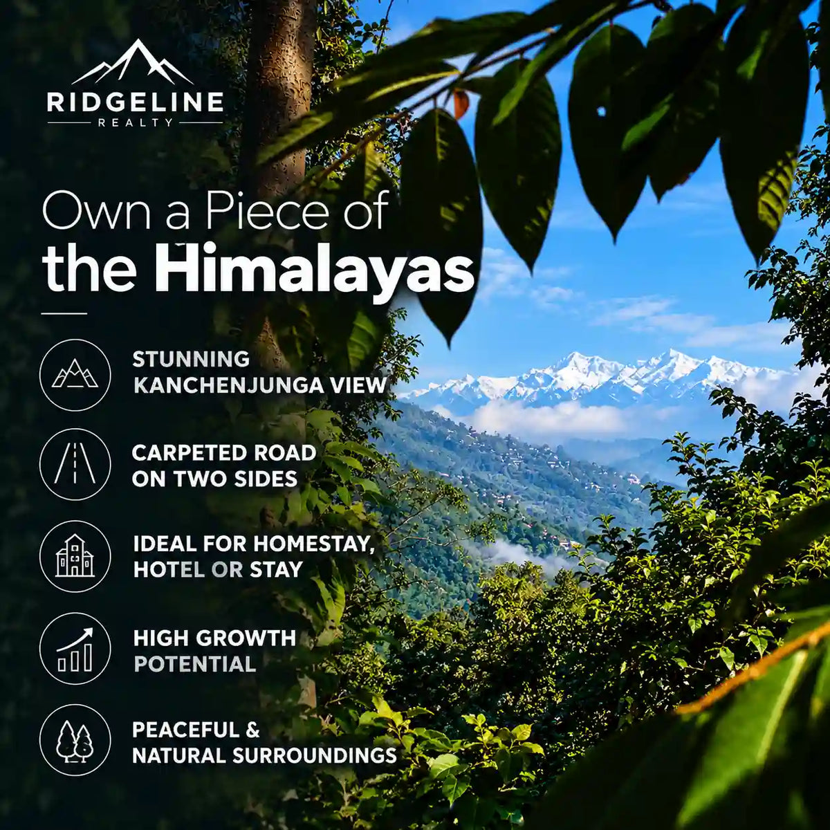 13 decimal land in chota mangwa darjeeling for sale