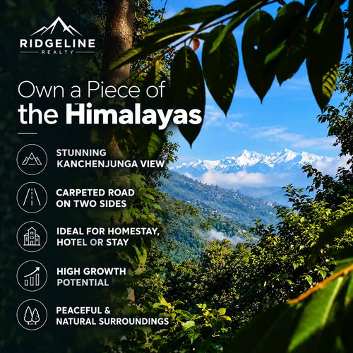 13 decimal land in chota mangwa darjeeling for sale