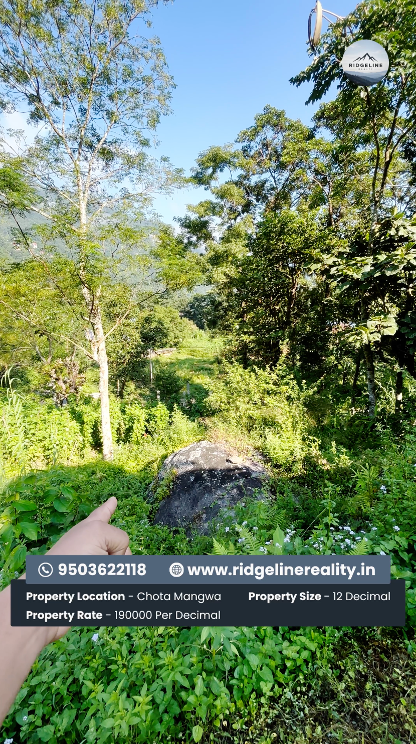 Land for Sale in Chota Mangwa, Darjeeling