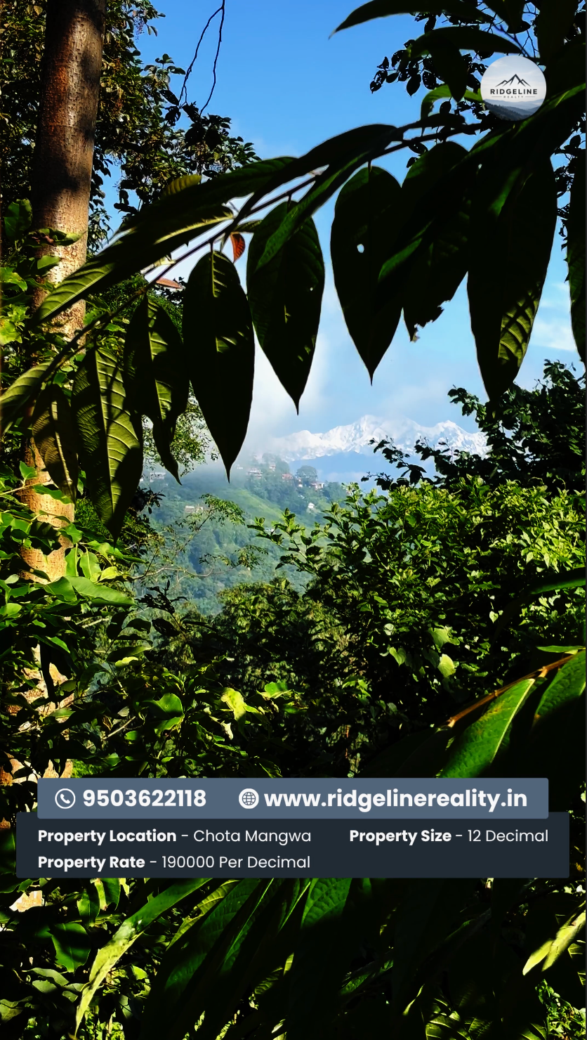 Land for Sale in Chota Mangwa, Darjeeling