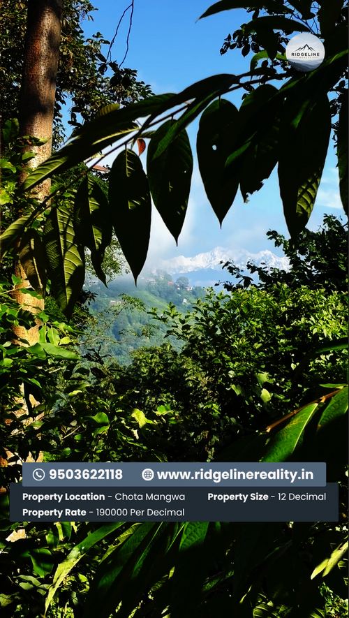 Land for Sale in Chota Mangwa, Darjeeling